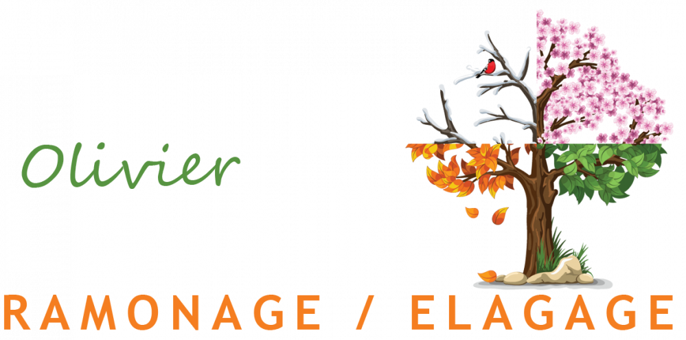Logo2.png