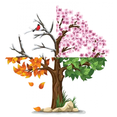 logo Olivier Lemaire Ramonage Elagage (1)