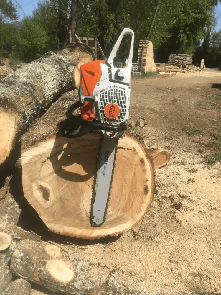 abattage d'arbre (4)